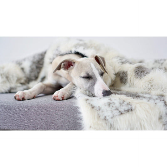 Tösse Blanket - Brown & White