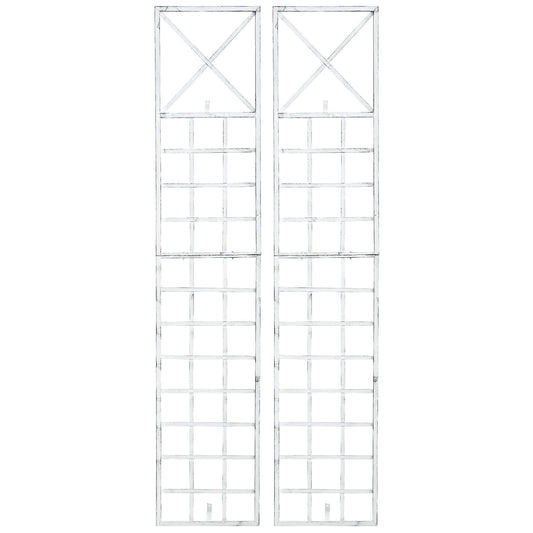 2 Trigo-säleikön setti