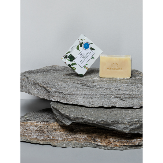 Nordic Birch Sap Soap