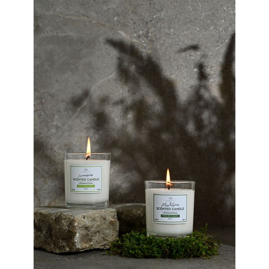 Lemongrass Scented Candle - 170 g