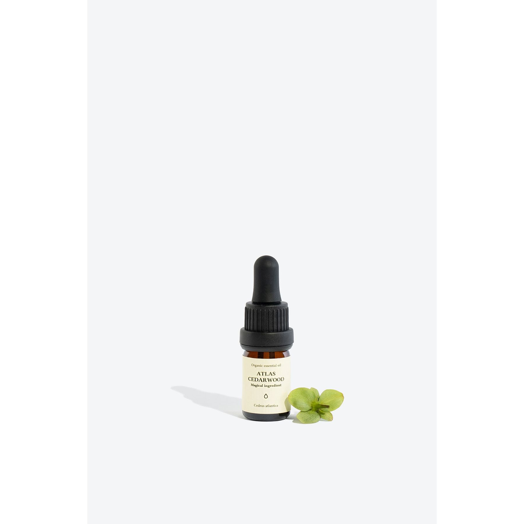 ATLAS CEDARWOOD Essential Oil