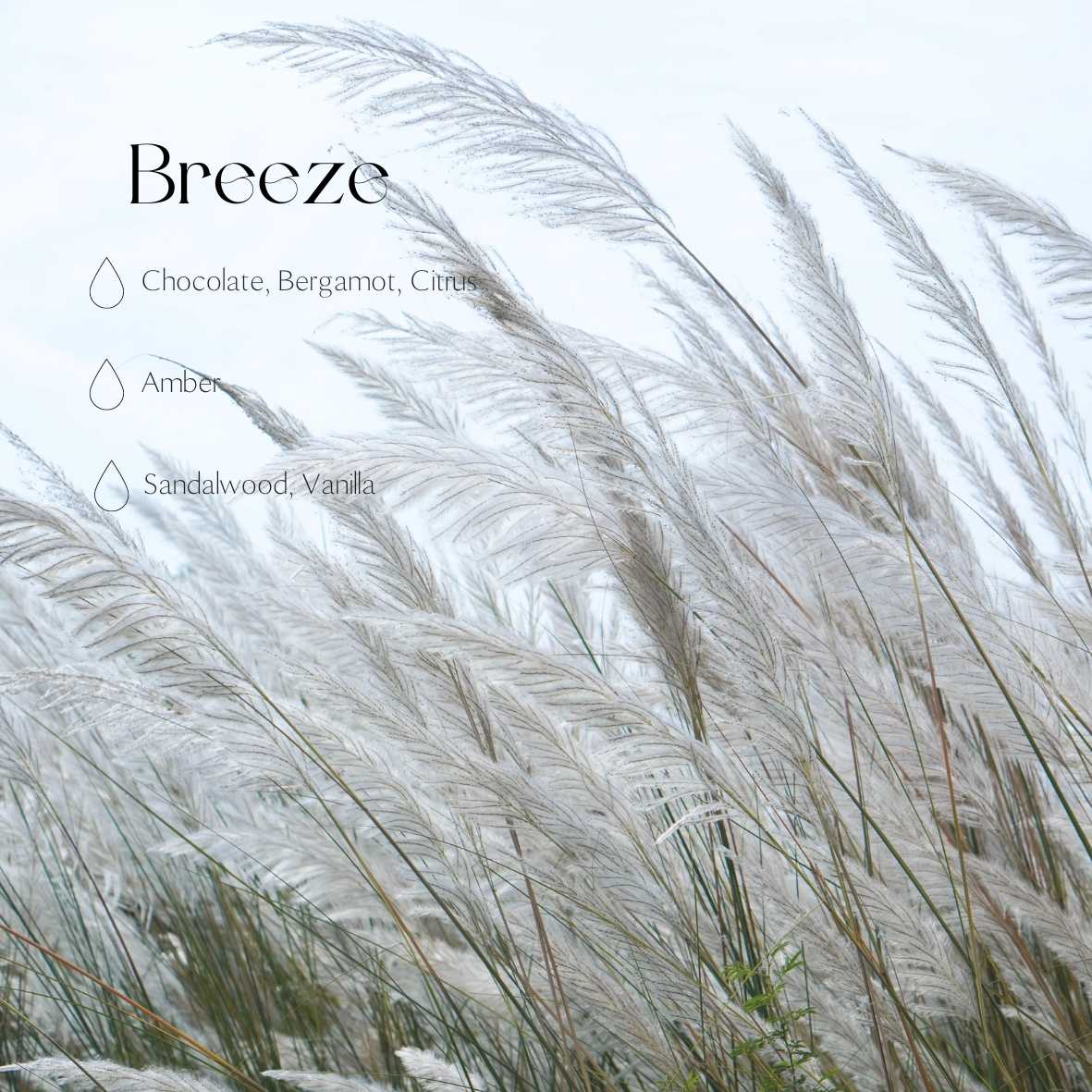 Auton tuoksudiffuuseri - Breeze