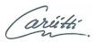 Cariitti Logo