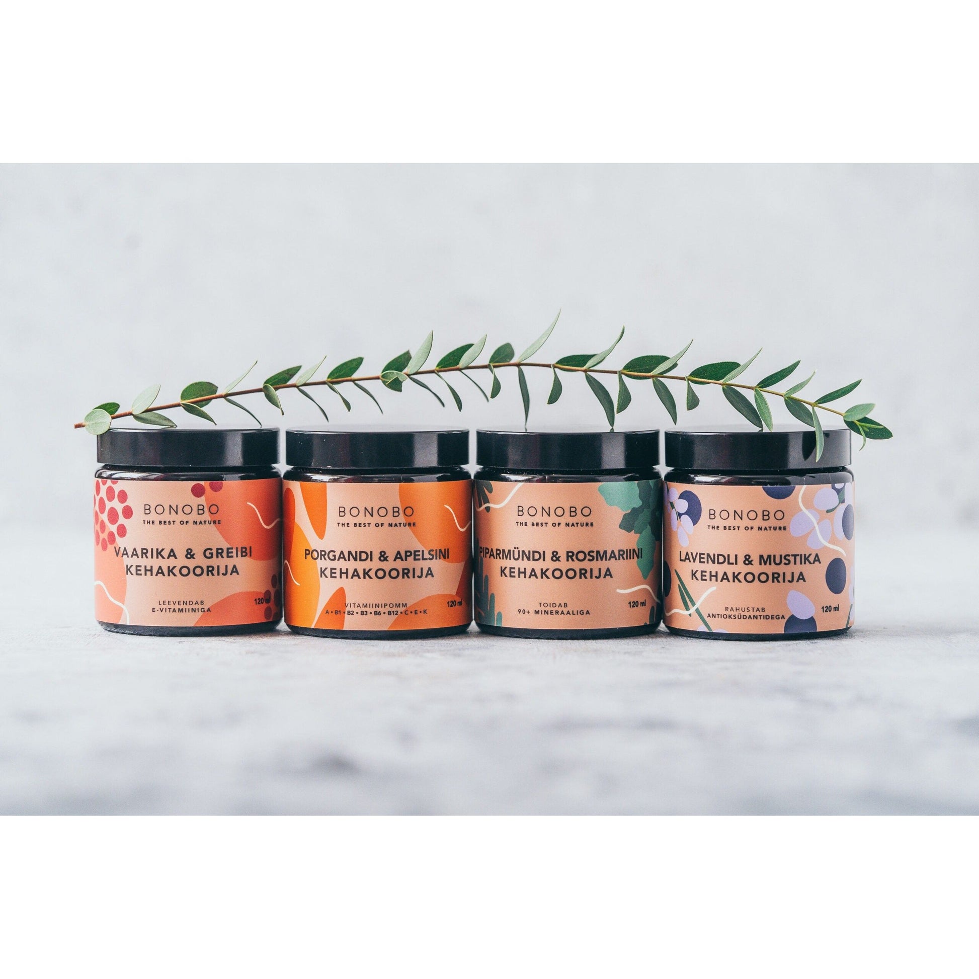 Body Scrub — Blueberry and Lavender