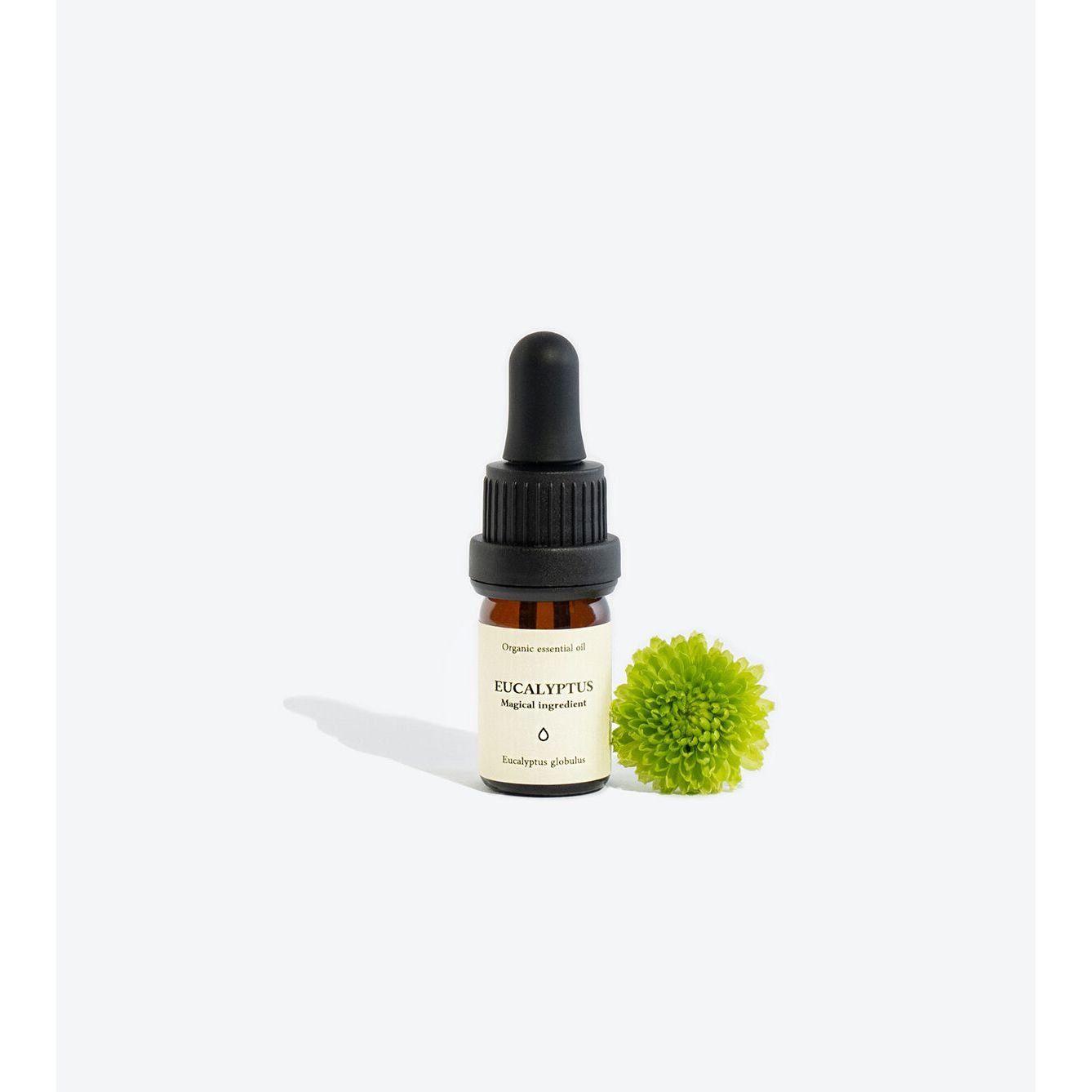 EUCALYPTUS Essential Oil