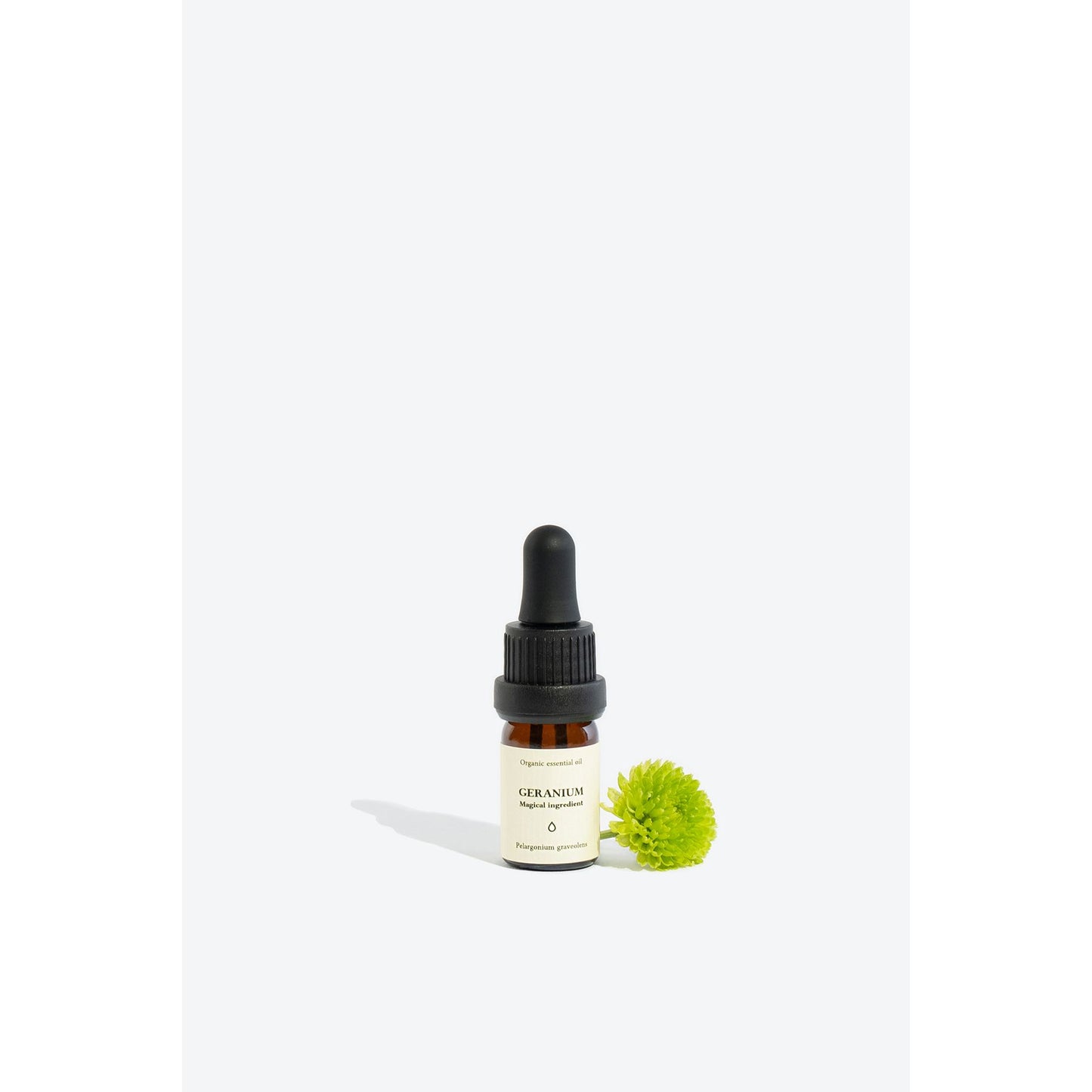 GERANIUM Essential Oil
