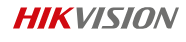 Hikvision Logo