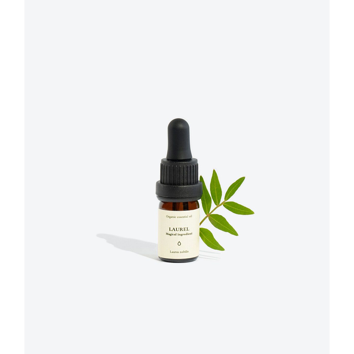 LAUREL Essential Oil