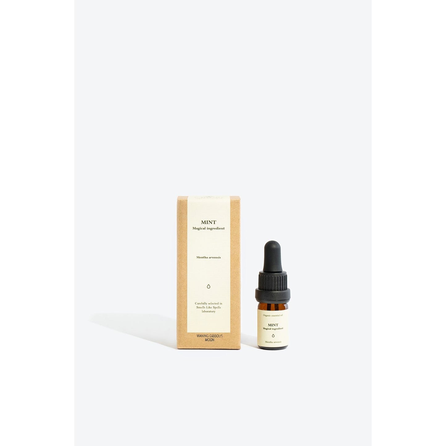 MINT Essential Oil
