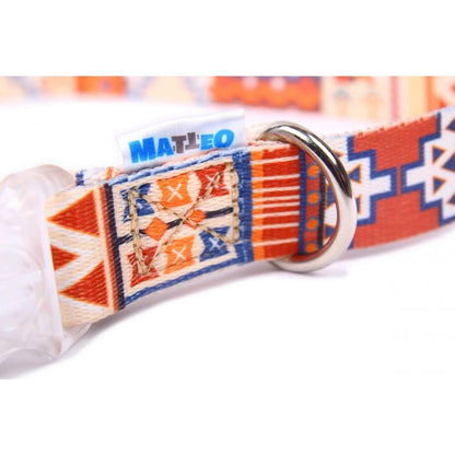 Dog Collar With a Plastic LED Buckle - Boho