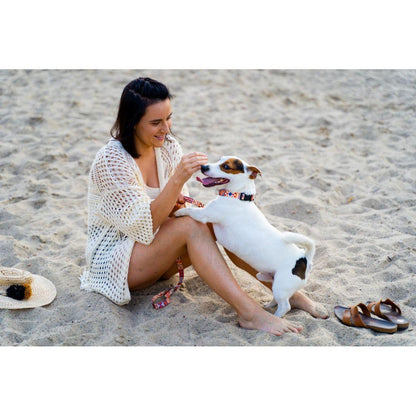 Dog Leash - Boho