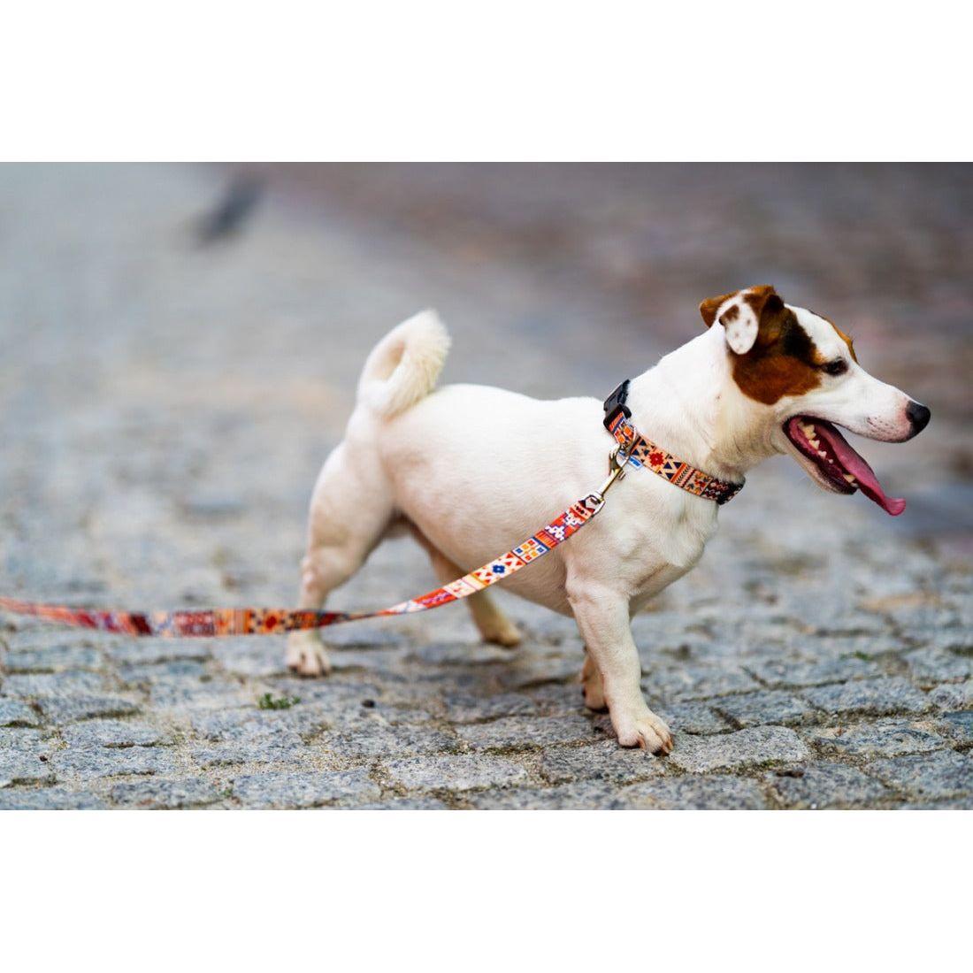 Dog Leash - Boho