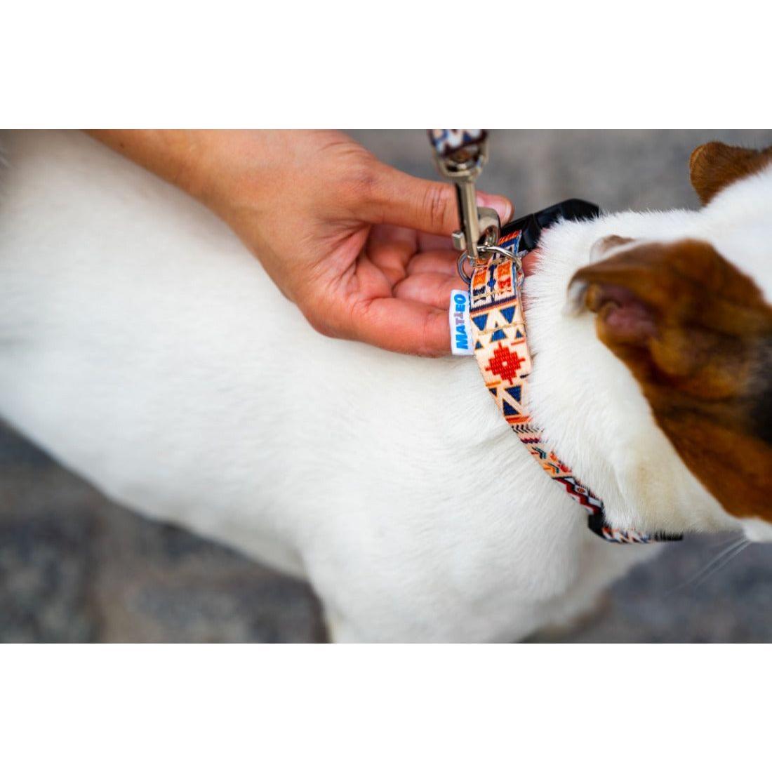 Quick Fastning Dog Collar - Boho