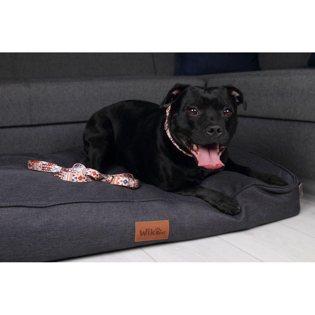 Dog Collar With a Plastic Buckle - Boho