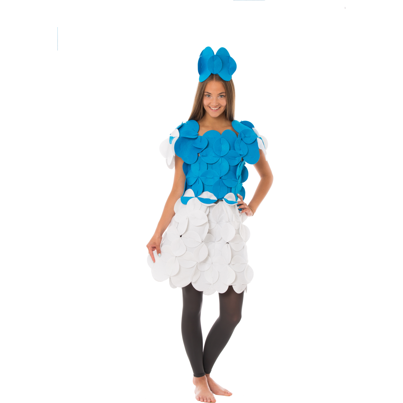 Costume Puzzle - Priscilla the Adventurous Princess