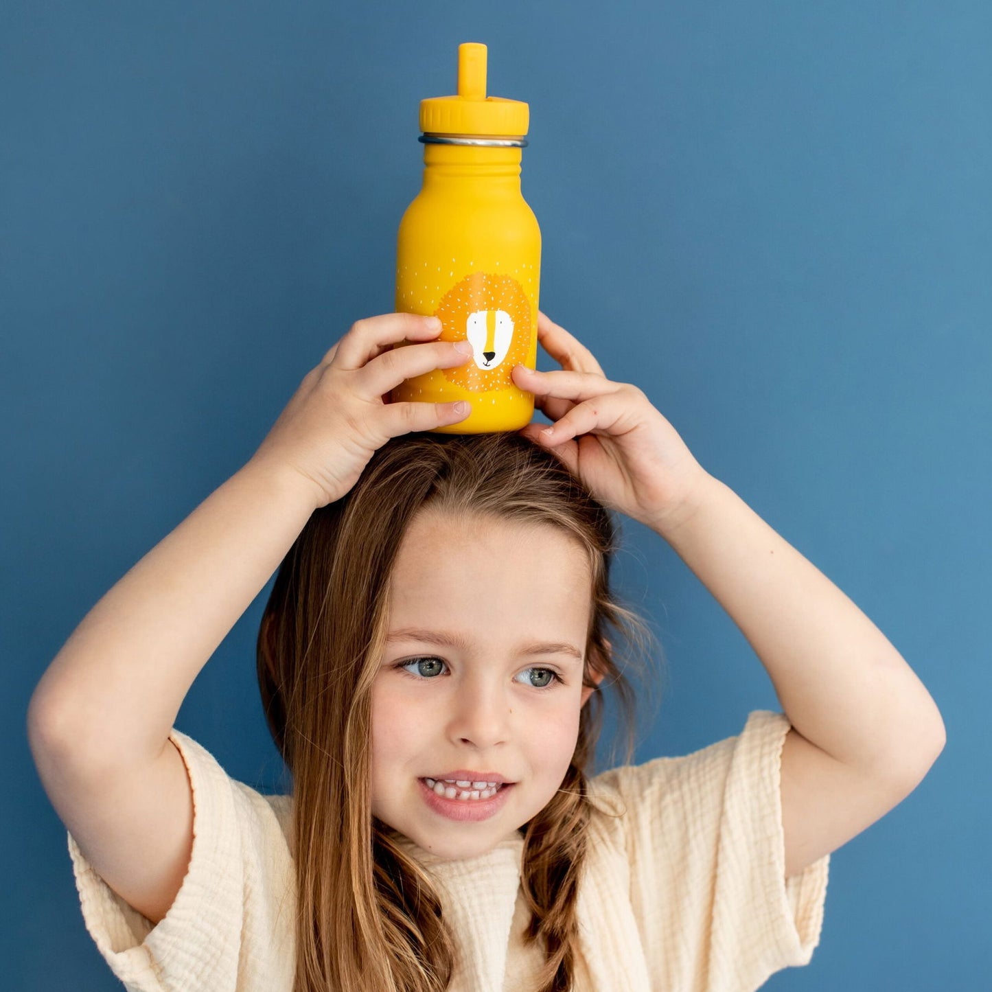 Stainless Steel Bottle 350 ml - Mr Lion - Kotikauppa