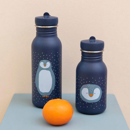 Stainless Steel Bottle 350 ml - Mr Penguin - Kotikauppa