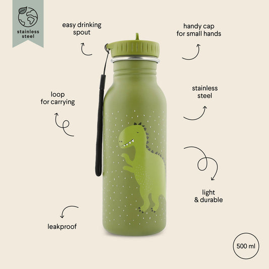 Stainless Steel Bottle 500 ml - Mr Dino - Kotikauppa