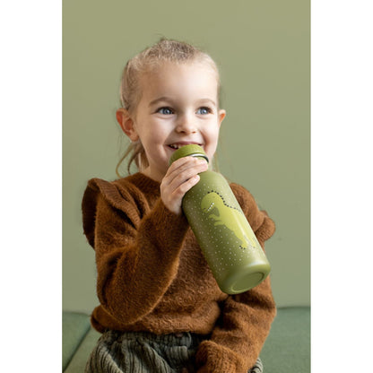 Stainless Steel Bottle 500 ml - Mr Dino - Kotikauppa