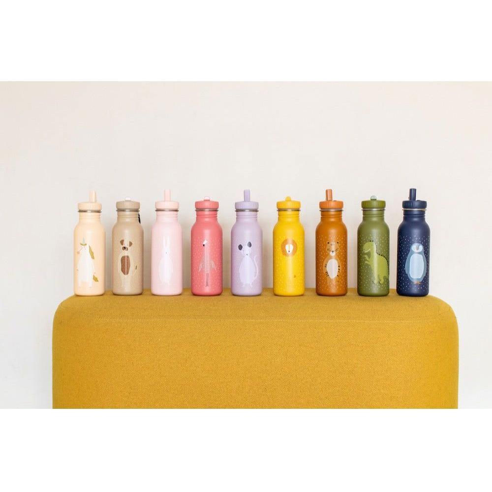 Stainless Steel Bottle 500 ml - Mr Dog - Kotikauppa