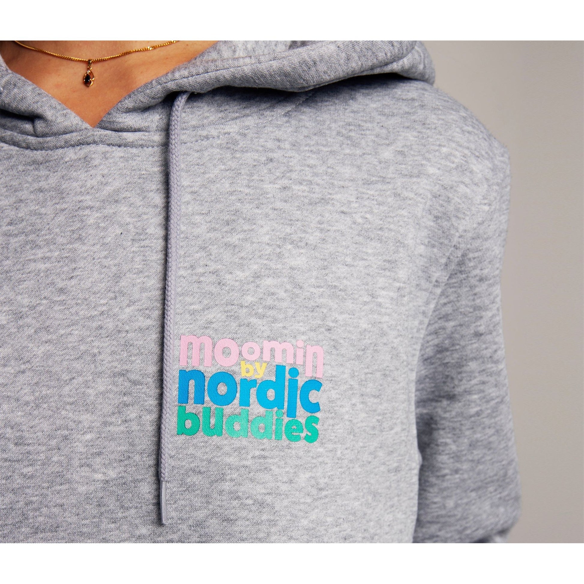 Premium Unisex Heavy Cotton Hoodie Hemulens - Grey
