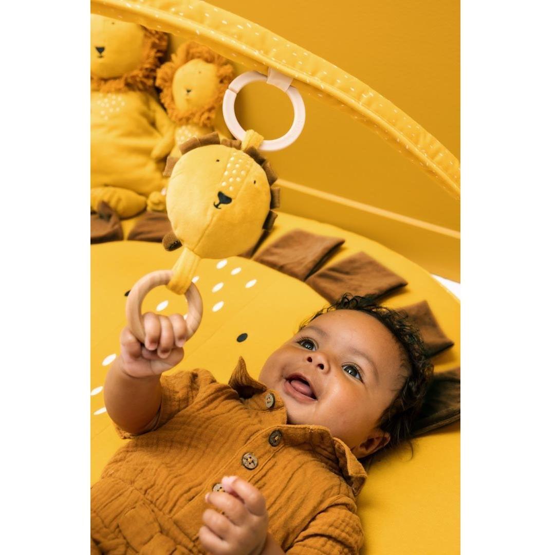 Activity Play Mat with Arches - Mr. Lion