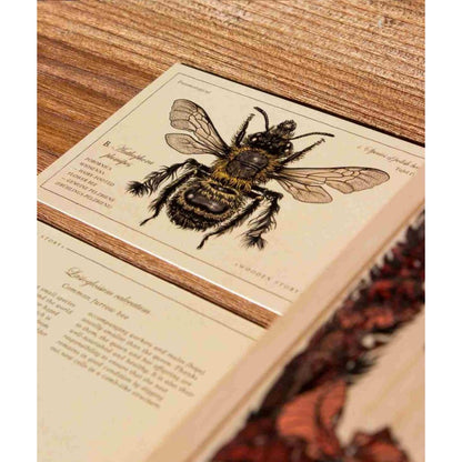 Wooden Blocks Bee Life Species