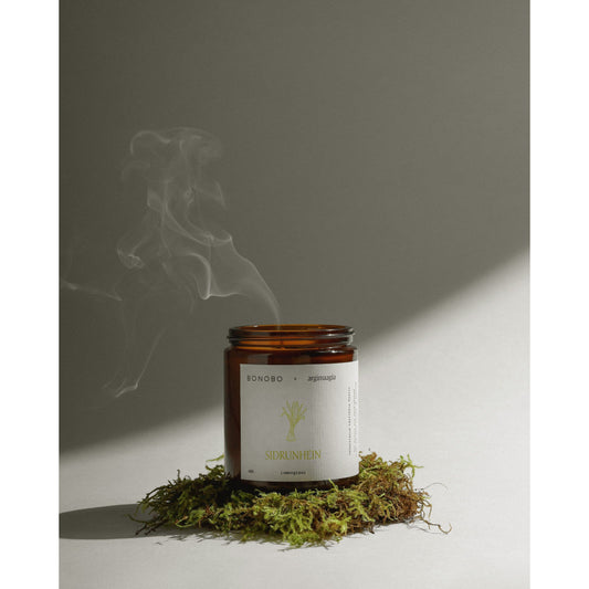 Scented Candle Lemongrass 