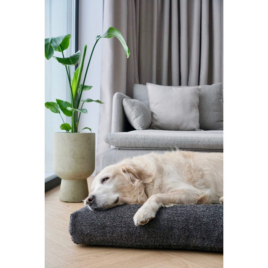 Buklaa Cushion - Anthracite