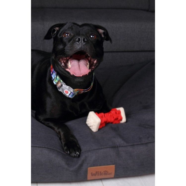 Collar With A LED Plastic Buckle  - Pixels