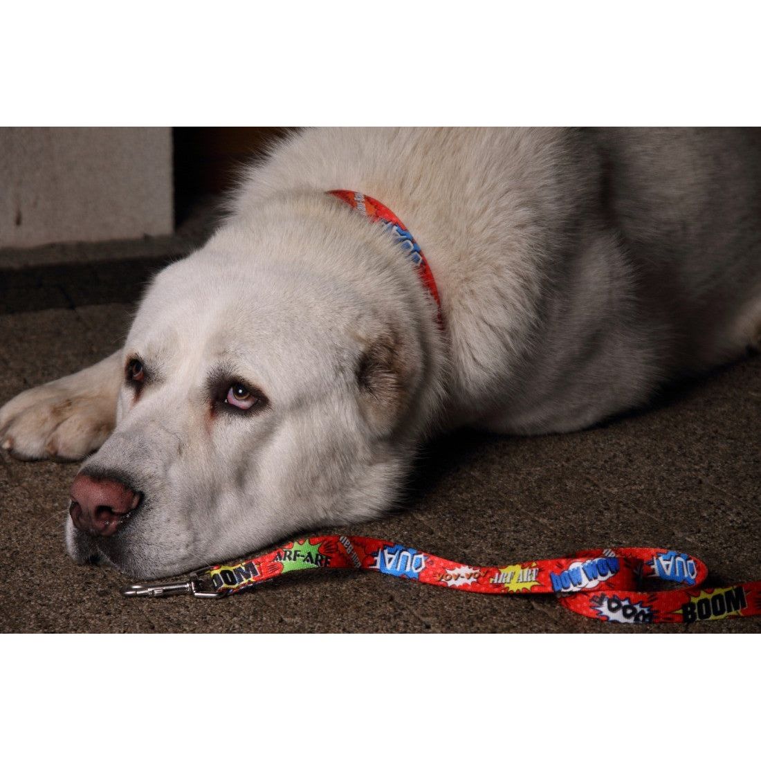 Collar With A Metal Buckle - Red Graffiti