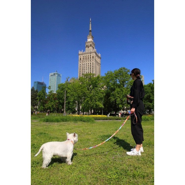 Collar With A Plastic Bucle – Travel