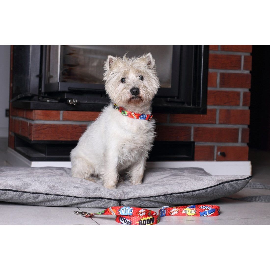 Collar With LED Plastic Buckle - Red Graffiti