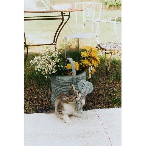 Decorative Basket Watering Can