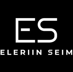 Eleriinseim Logo