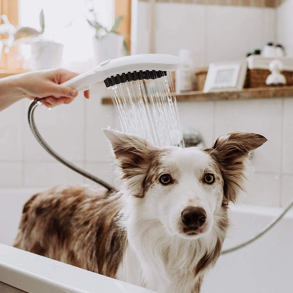 KOIRASUIHKU HANSGROHE DOGSHOWER 150 3JET SELECT