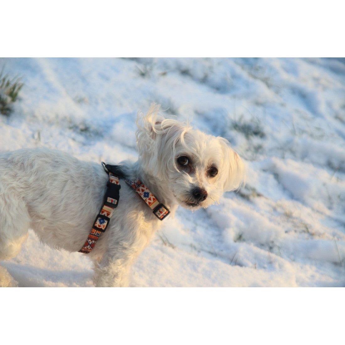 Dog Harness With Leather – Boho