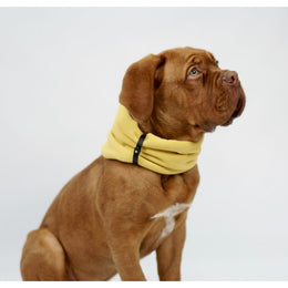 Inko Neck Warmer - Gold