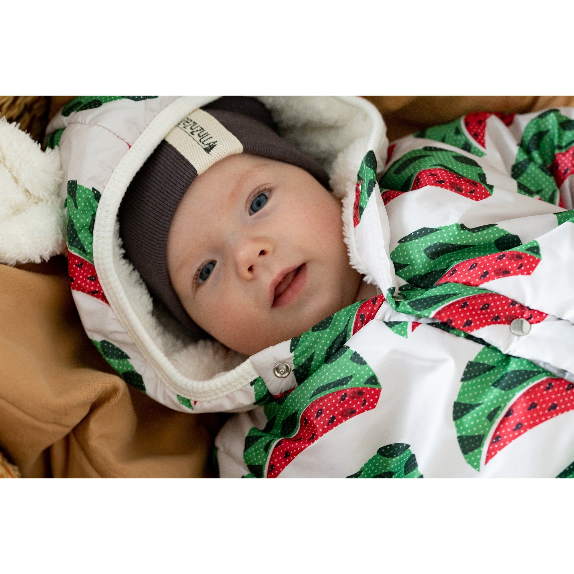 Winter Jumpsuit with Teddy Lining for Babies and Kids - Watermelons