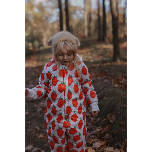 Winter Jumpsuit with Teddy Lining for Babies and Kids - Strawberries