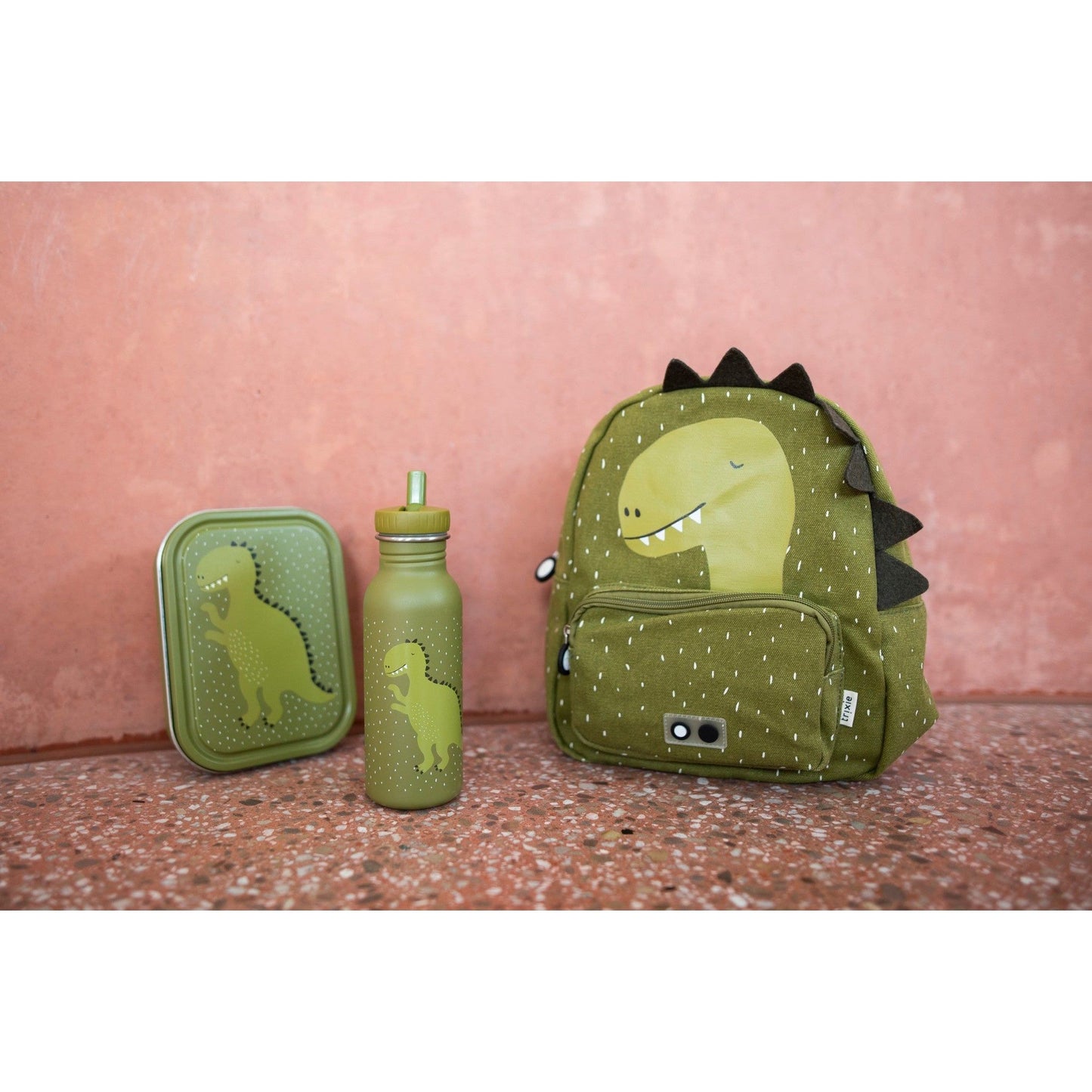 Large Lunch Box - Mr. Dino