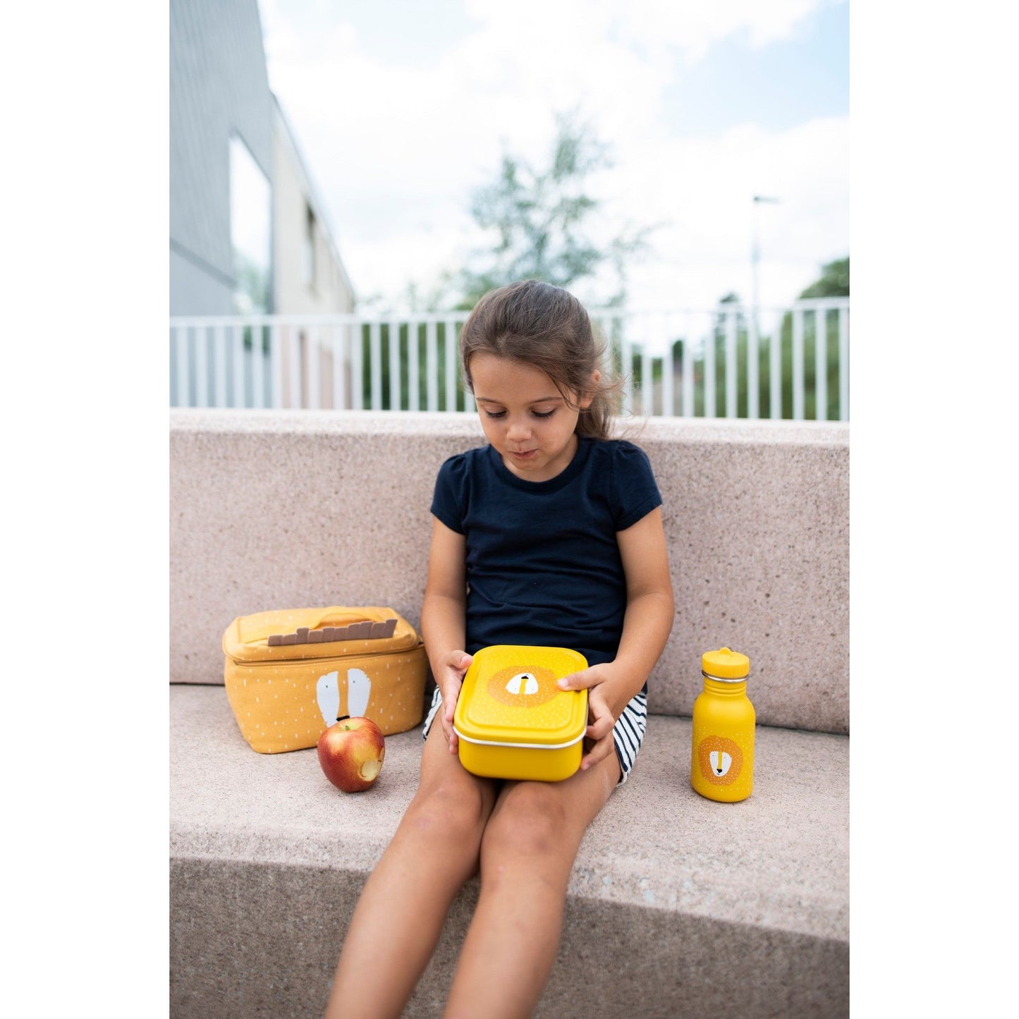 Small Lunch Box - Mr. Lion