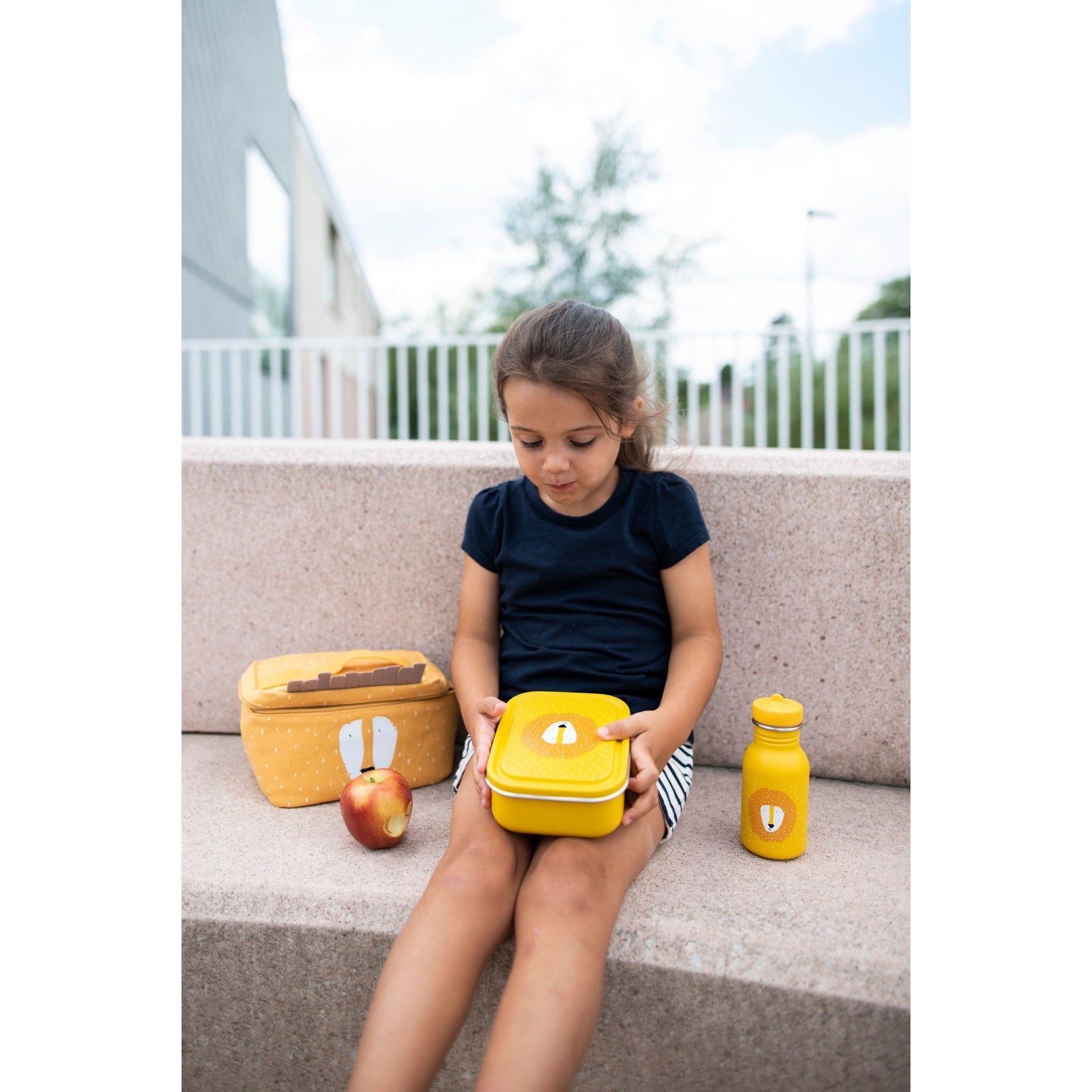 Small Lunch Box - Mr. Lion