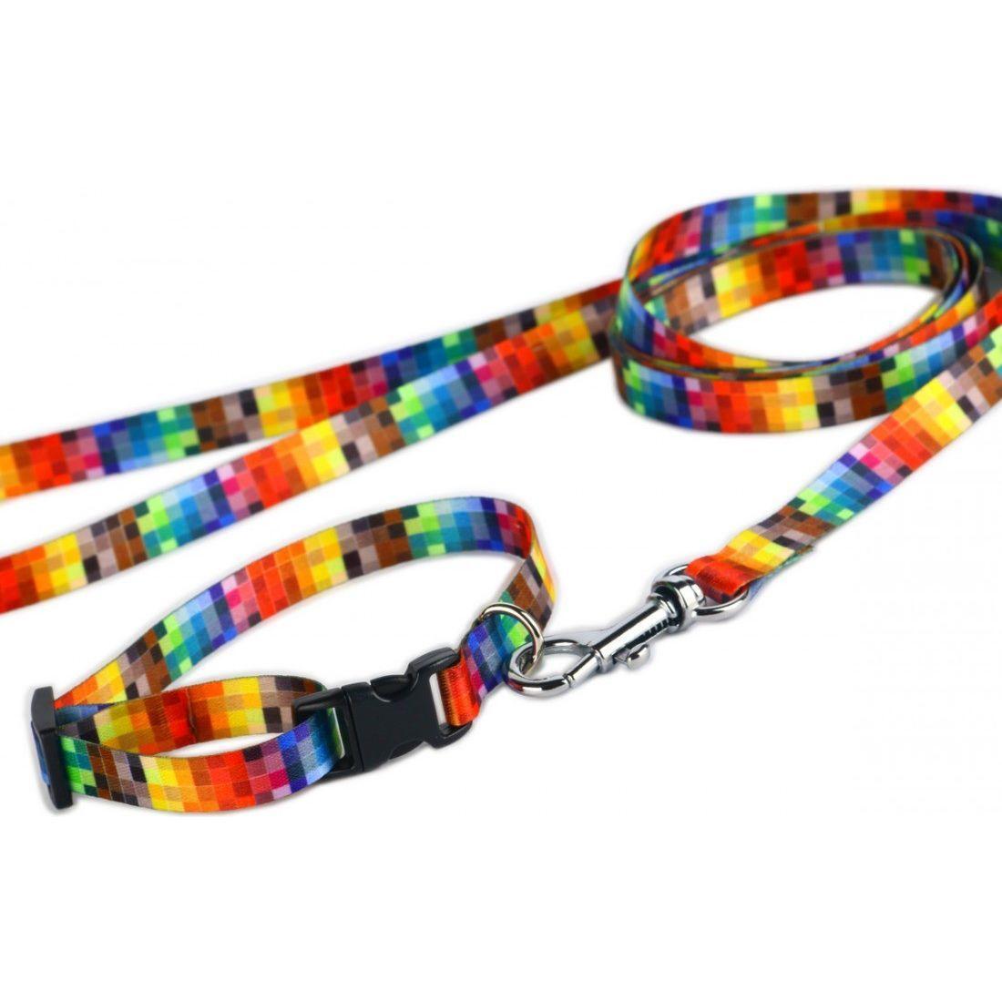 Leash - Pixels