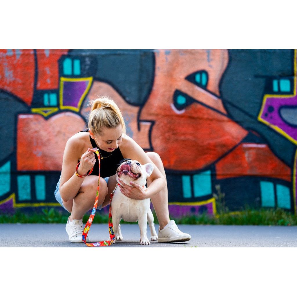 Leash - Red Graffiti