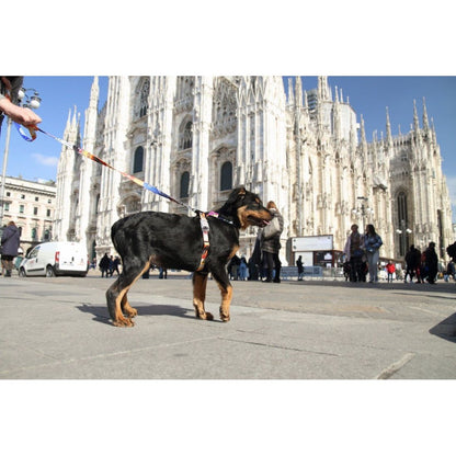 Leash – Travel