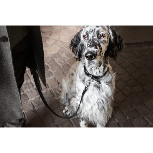 Lussa Leash - Black