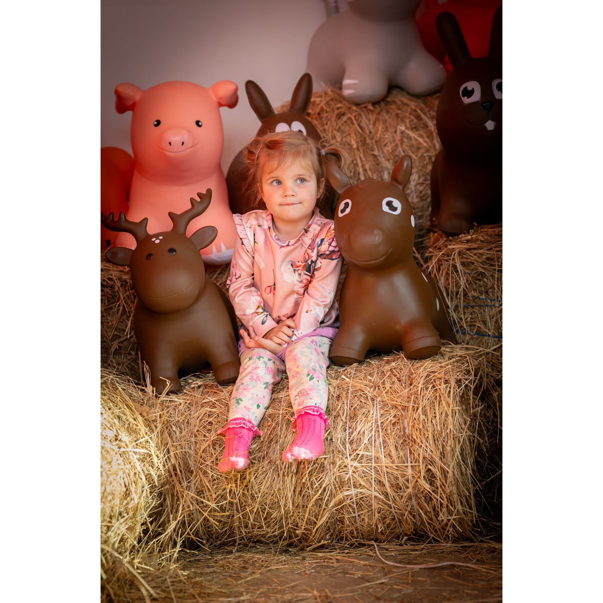 My First JUMPY – Brown Horse