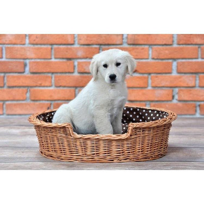 Natural Wicker Dog Bed Poppy With Cushion, 75x57 cm