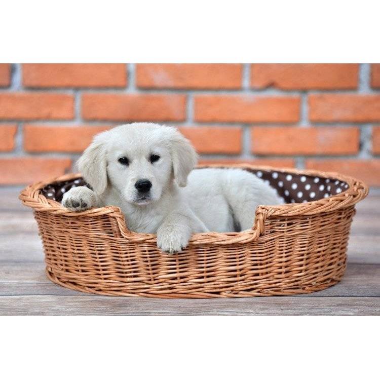 Natural Wicker Dog Bed Poppy With Cushion, 75x57 cm